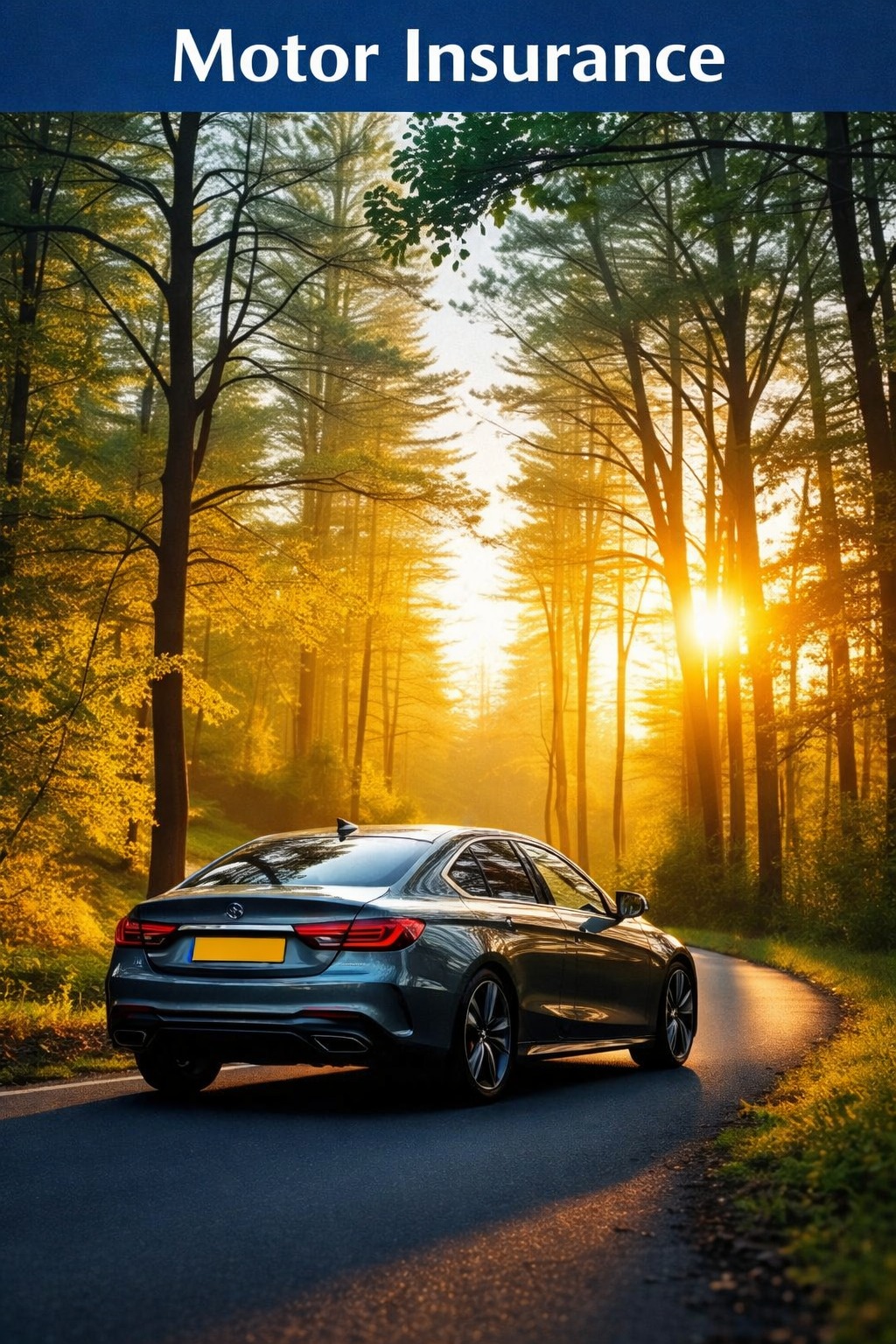 Motor Insurance