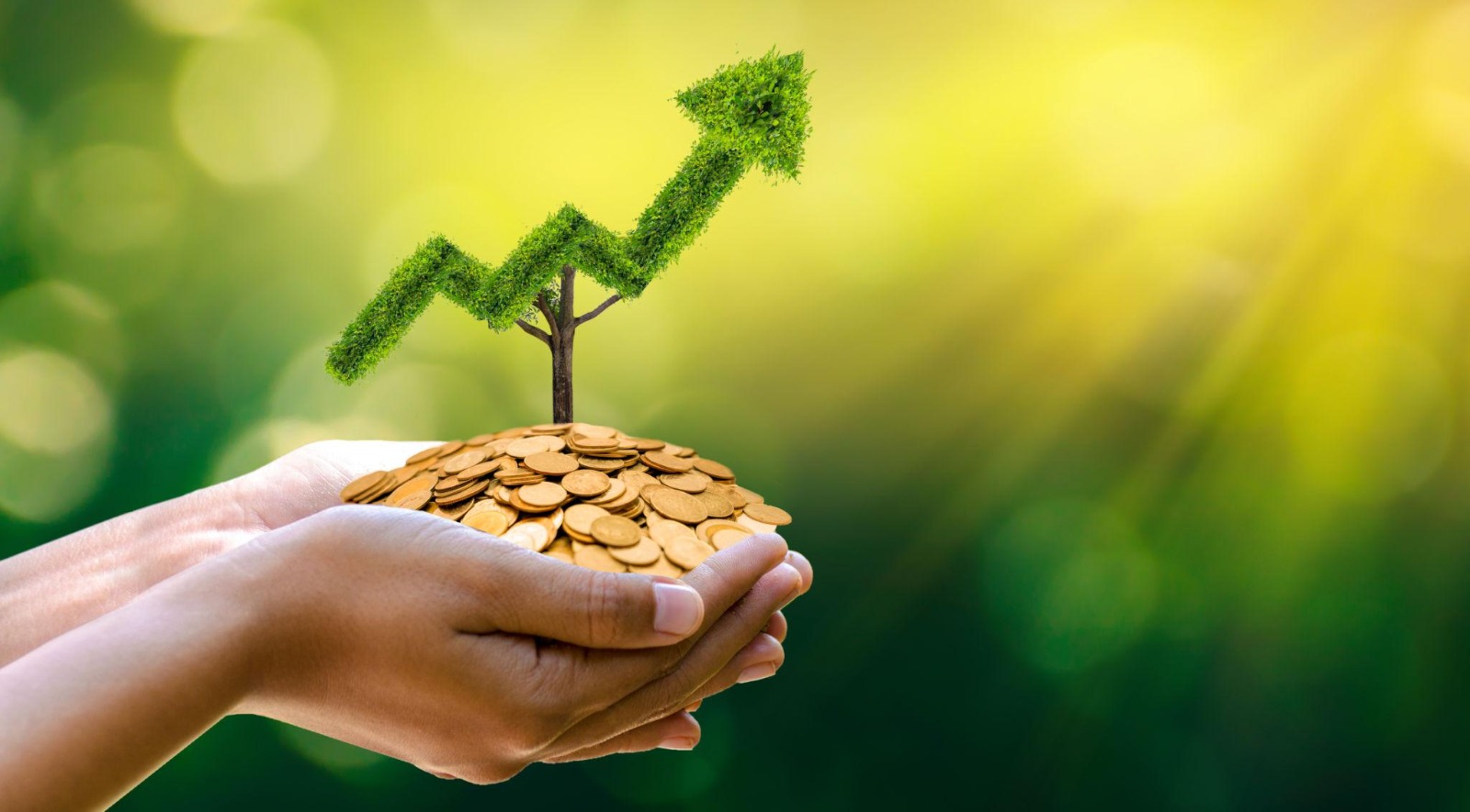 Personal Financial Planning